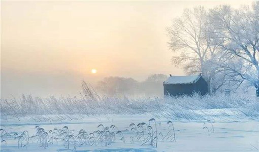 武汉大雪如约而至（1月28日）