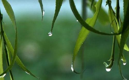 武汉未来一周天气预报 雨后谨防倒春寒(2月22日-28日)