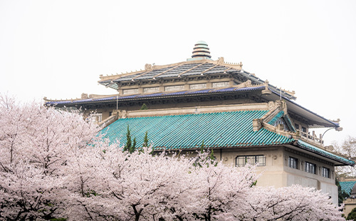 武汉天气预报未来3天_樱花开了吗