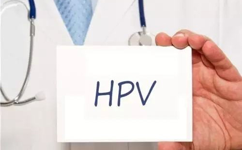 hpv2.jpg