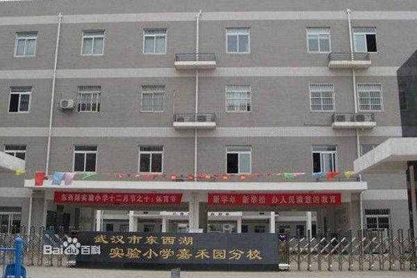 武汉东西湖区实验小学怎么样_介绍