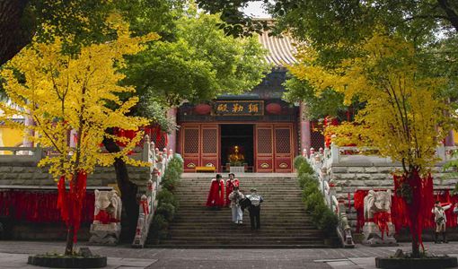 宝通禅寺2022年5月31日起恢复对外开放