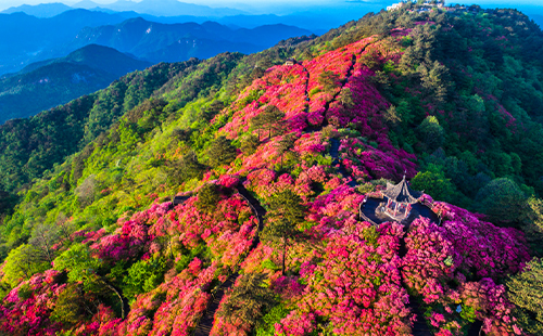 2023麻城龟峰山景区临时闭园公告