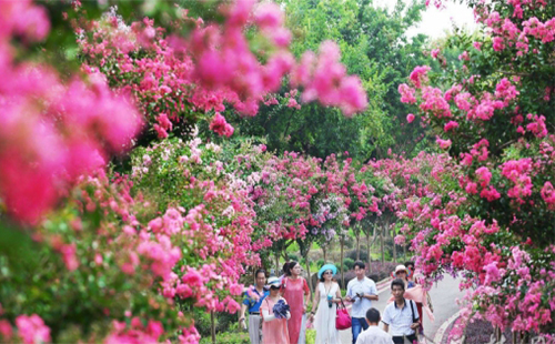 武汉推出工会会员公园年票受追捧